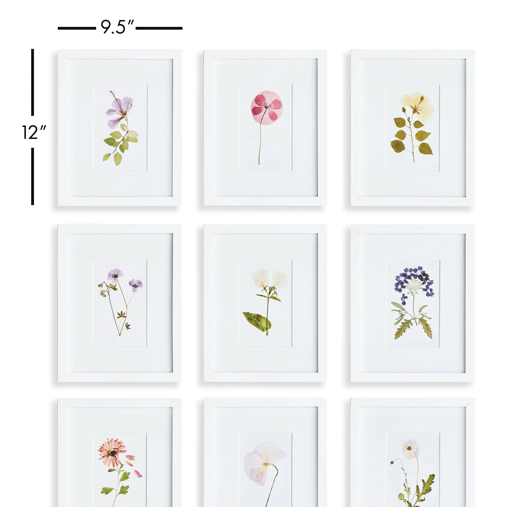 MOUNTAIN FLOWER PETITE PRINTS, SET OF 9 Napa Home & Garden