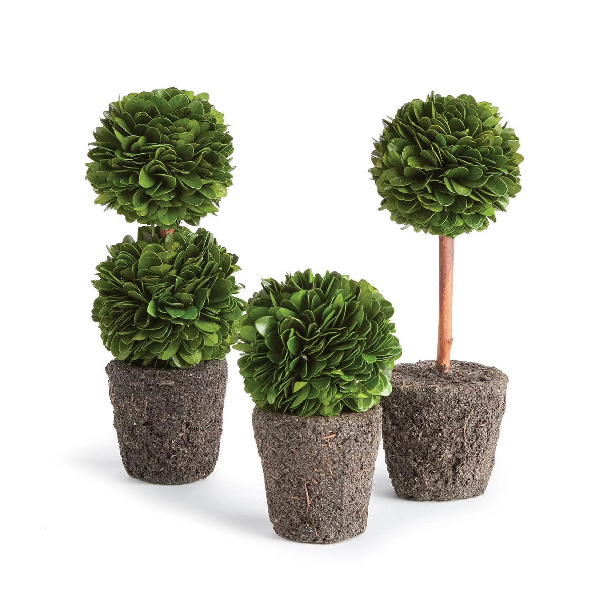 Boxwood Mini Topiary Drop-Ins - Set of 3 Preserved English Boxwood