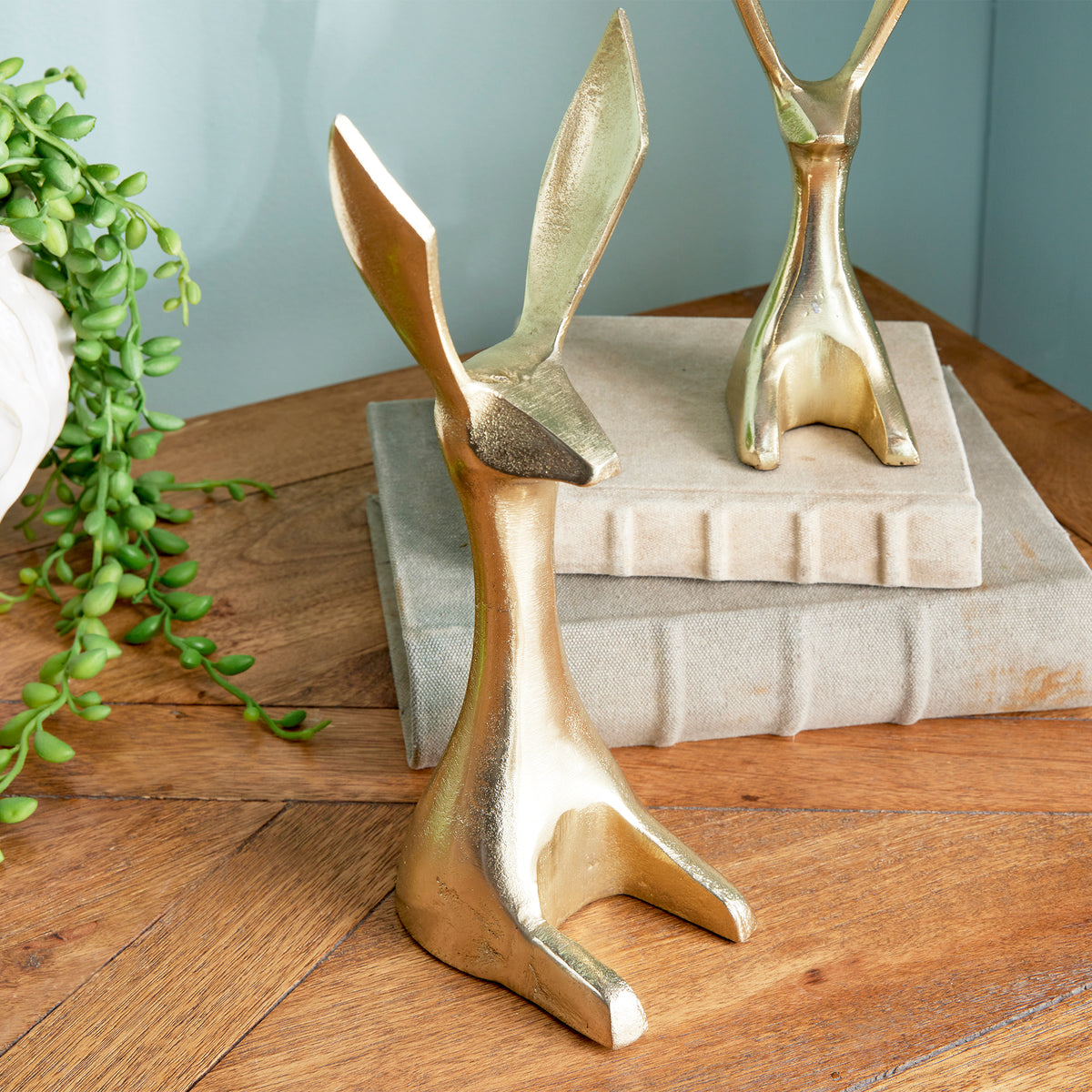 Jackrabbits, Set of 2