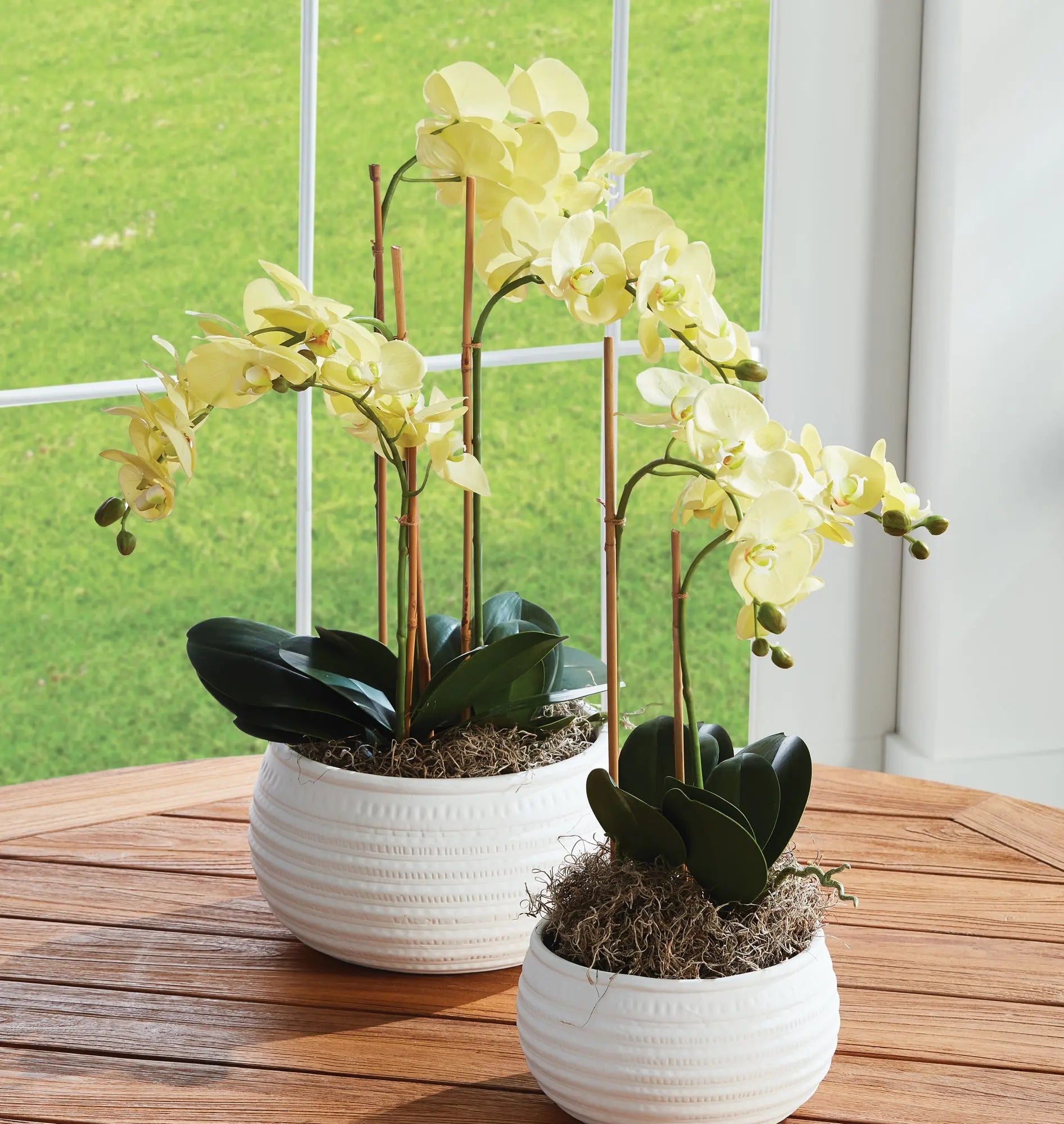PHALAENOPSIS ORCHID DROP-IN 30" Villa Decor & Design