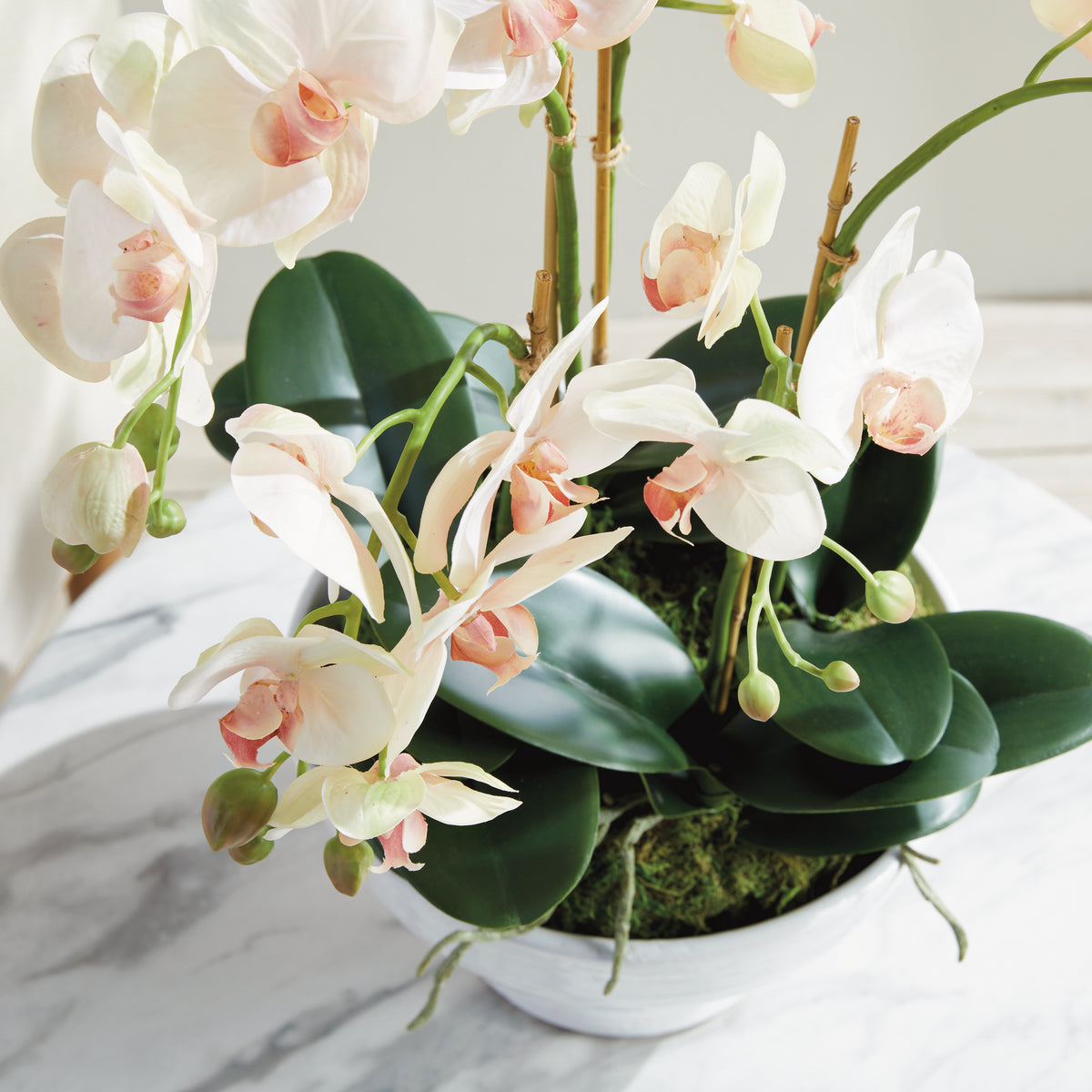 Phalaenopsis Orchid Bowl Drop-in 18.5"