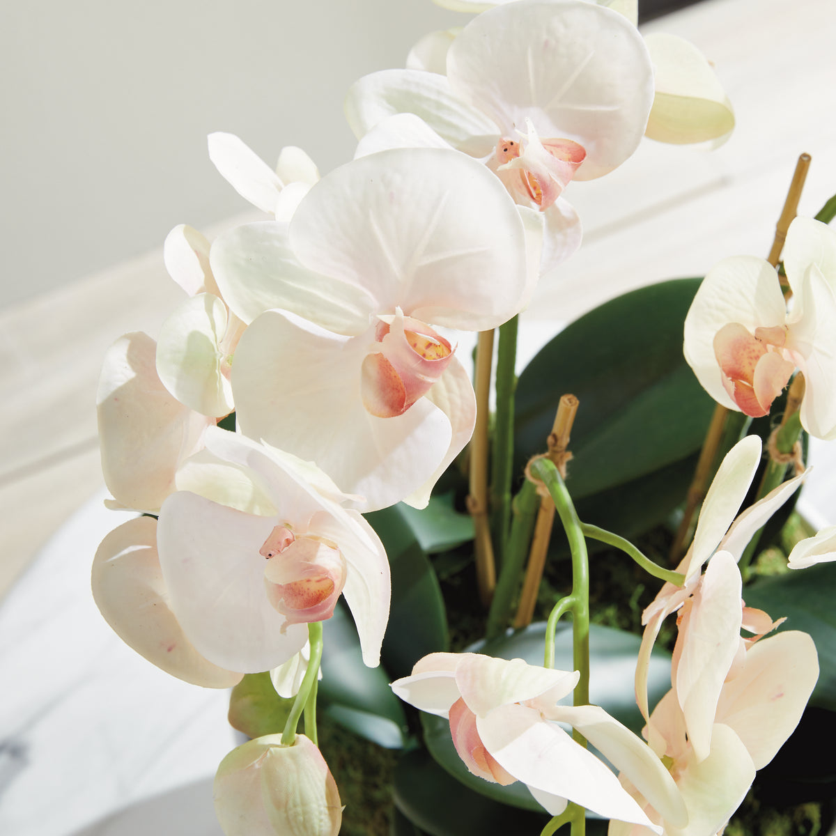 Phalaenopsis Orchid Bowl Drop-in 18.5"