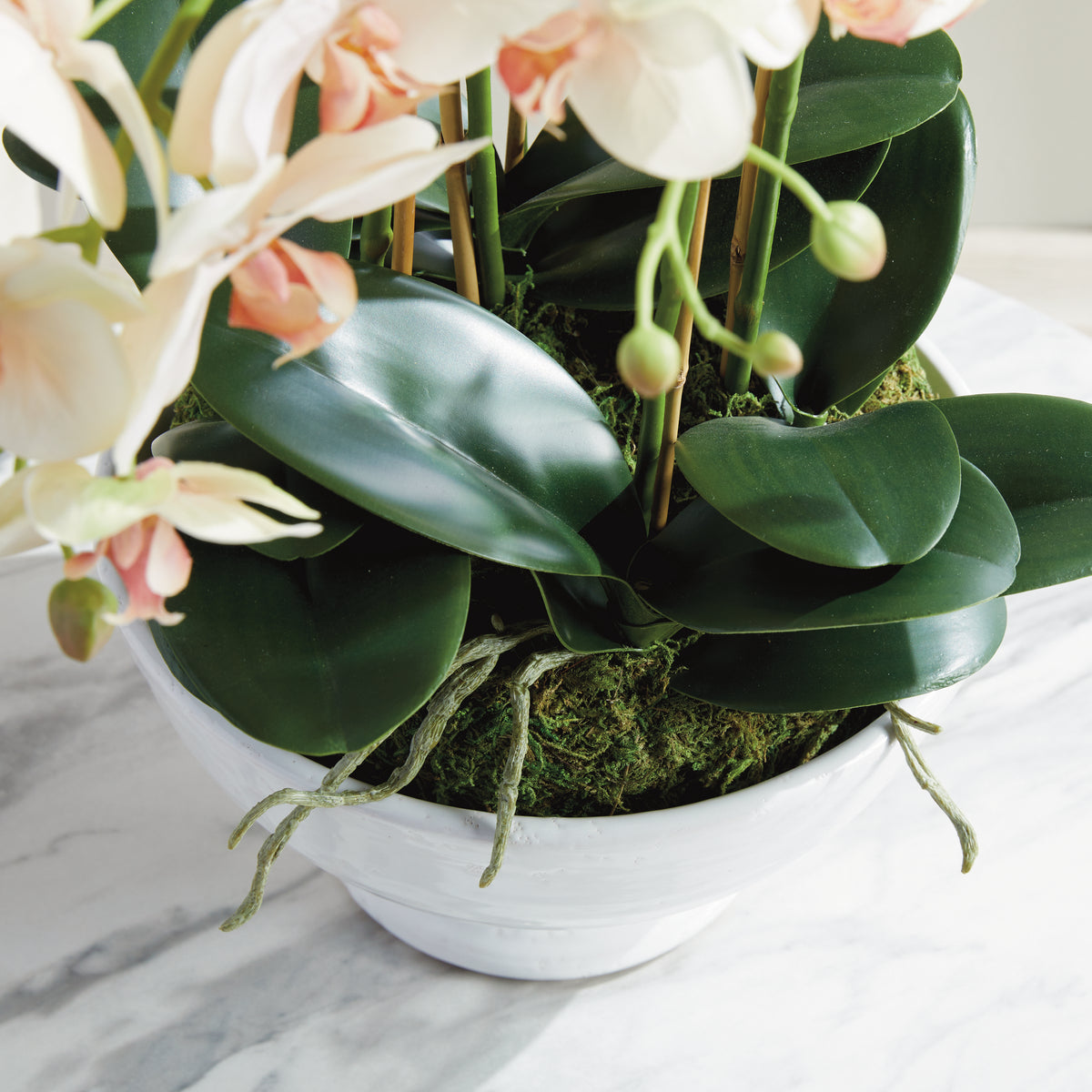 Phalaenopsis Orchid Bowl Drop-in 18.5"