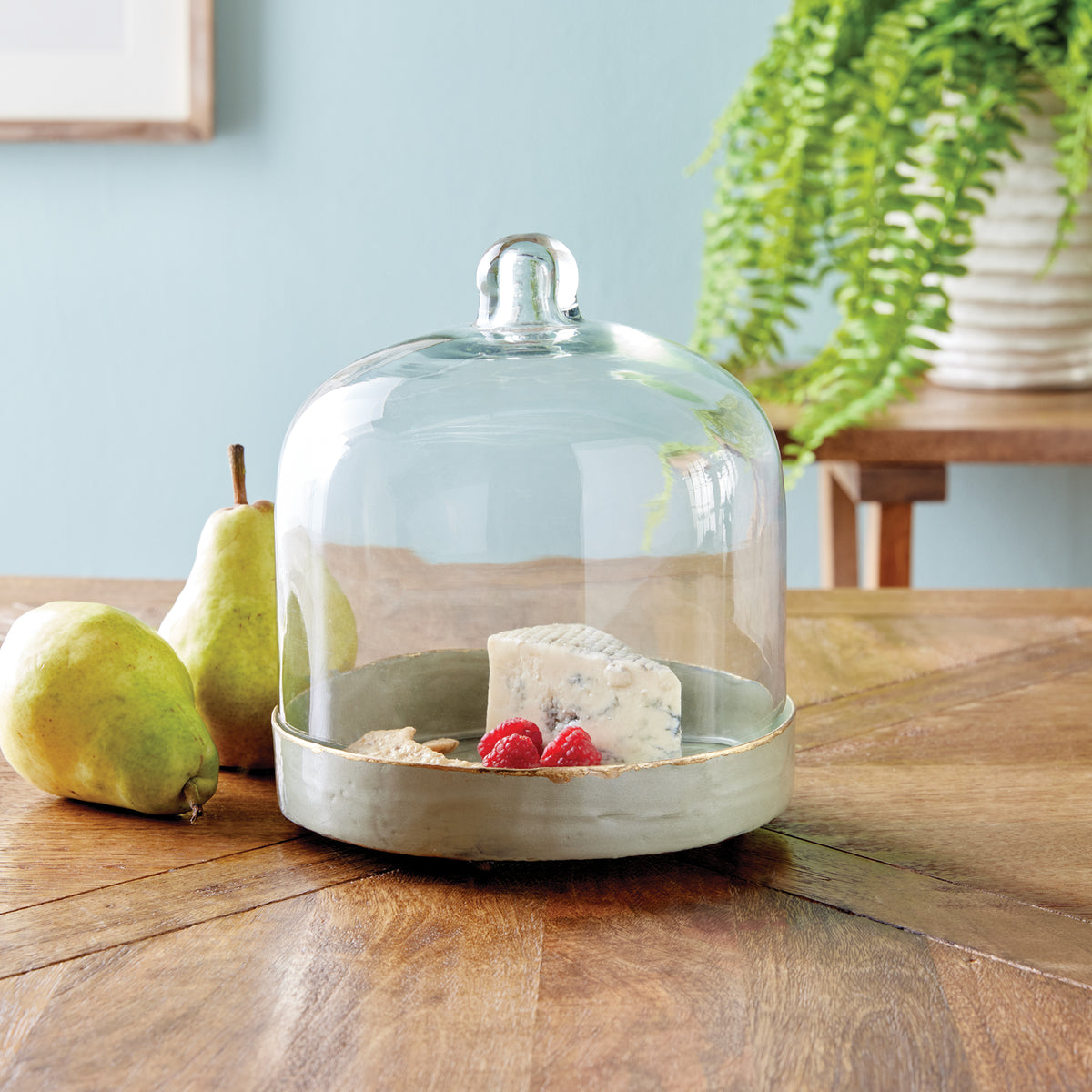 Kammie Tray with Cloche Small