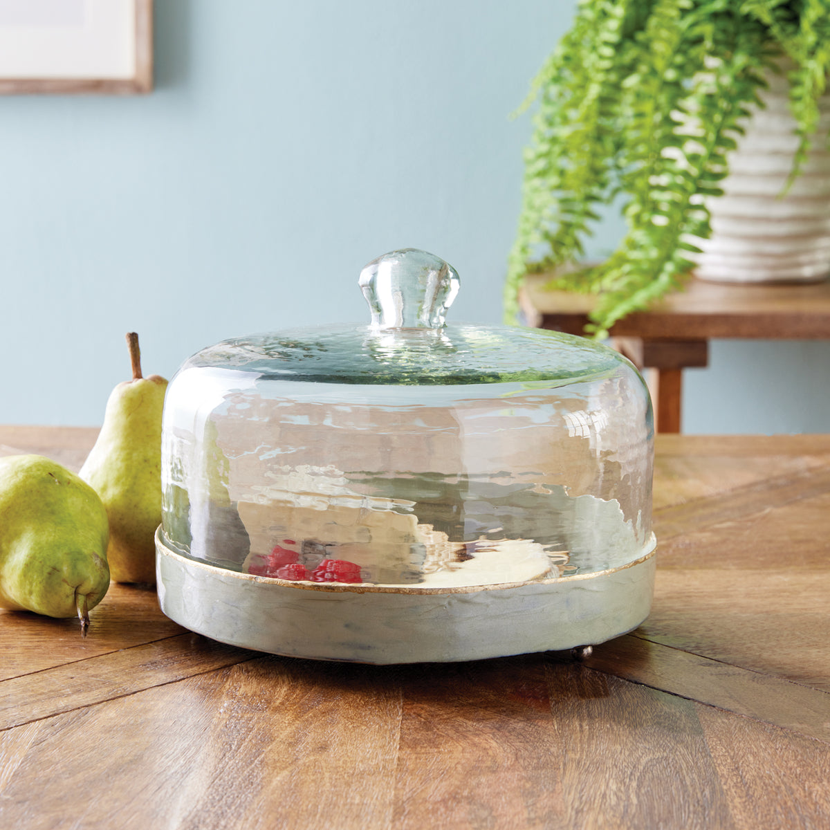 Kammie Tray with Cloche Large