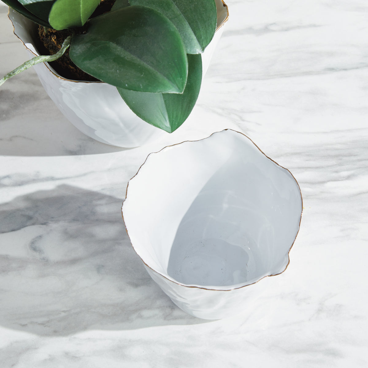Maribella Cachepots, Set of 2