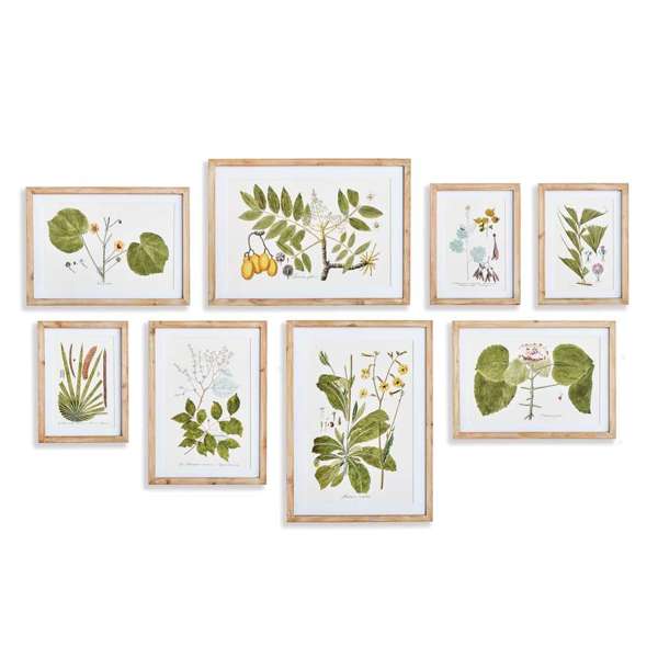 Flora and Fauna Gallery Prints, Set of 8