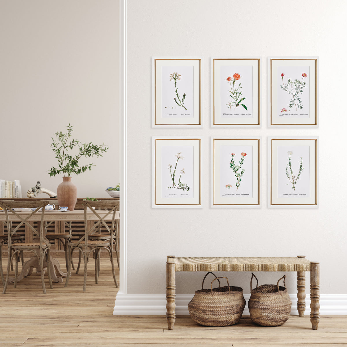 Flower Studies in Shades of Blush, Set of 6