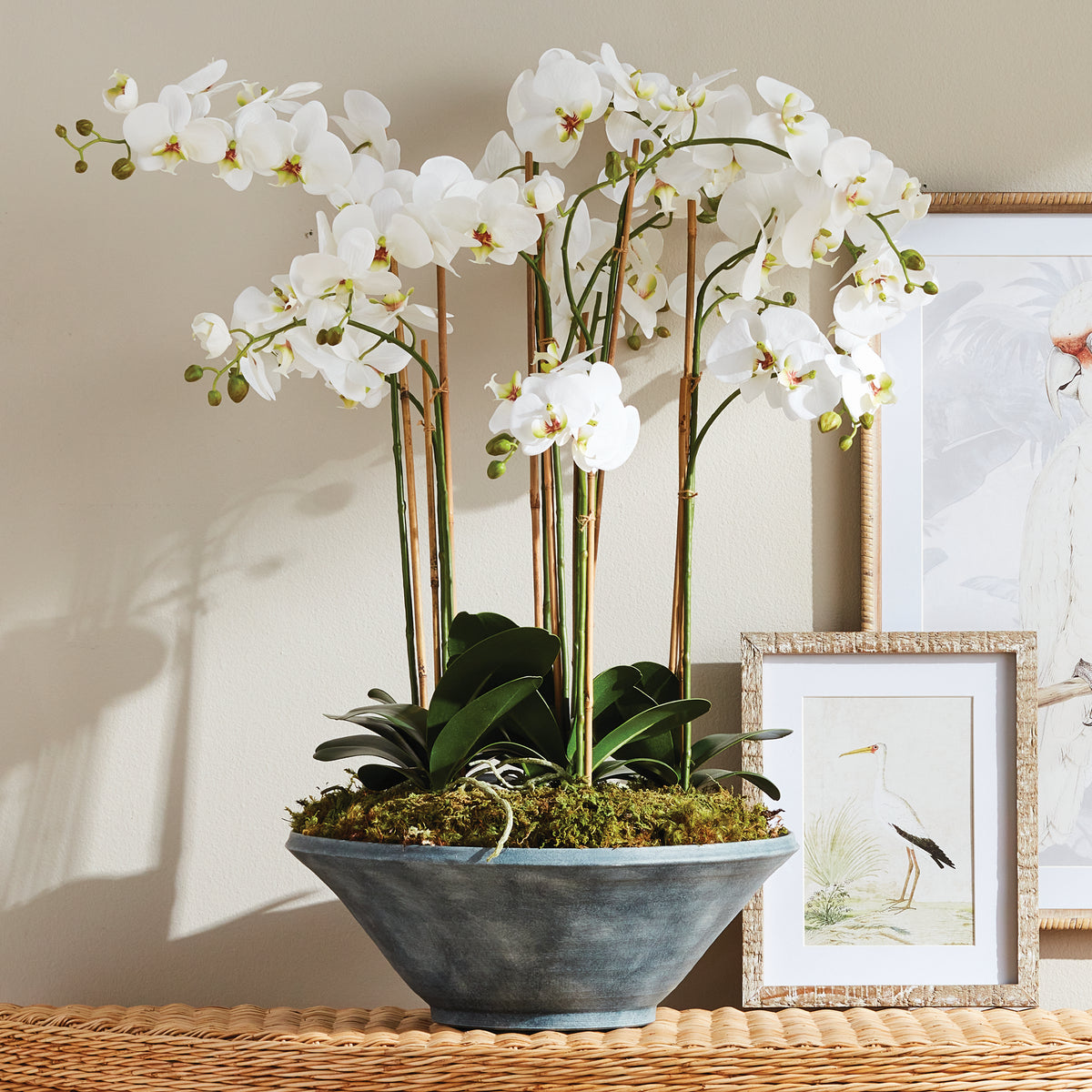 Phalaenopsis Orchid Bowl Drop-in 35"