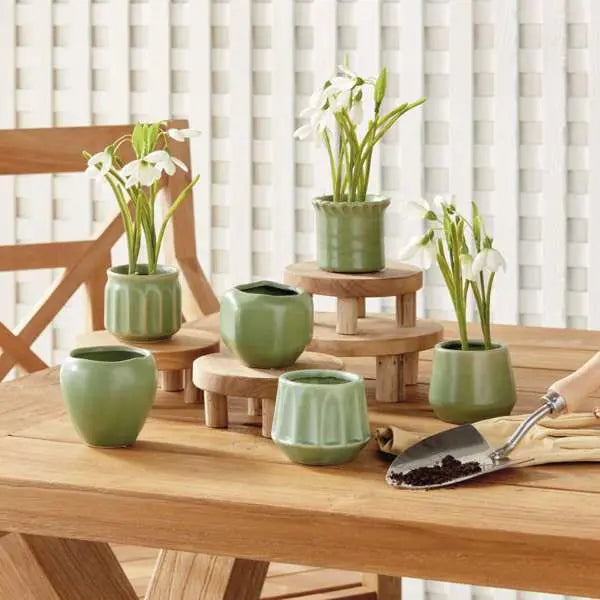Dezie Mini Pots - Set of 6 Reactive Glaze Stoneware (Cream, Green, or Blue) - Villa Decor & Design
