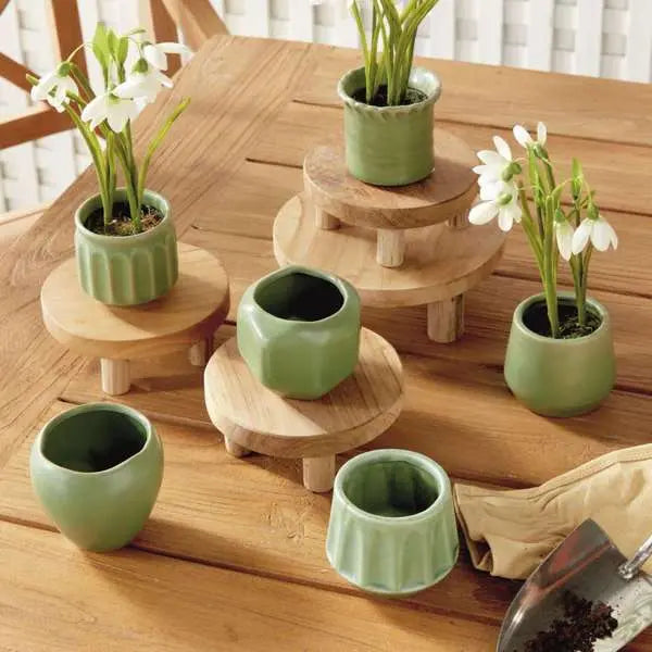 Dezie Mini Pots - Set of 6 Reactive Glaze Stoneware (Cream, Green, or Blue) - Villa Decor & Design