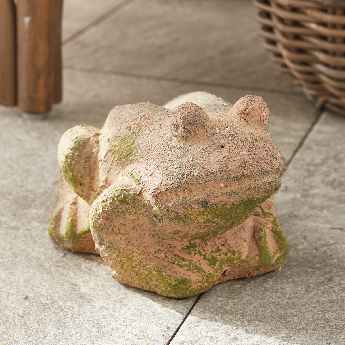 Weathered Garden Frog