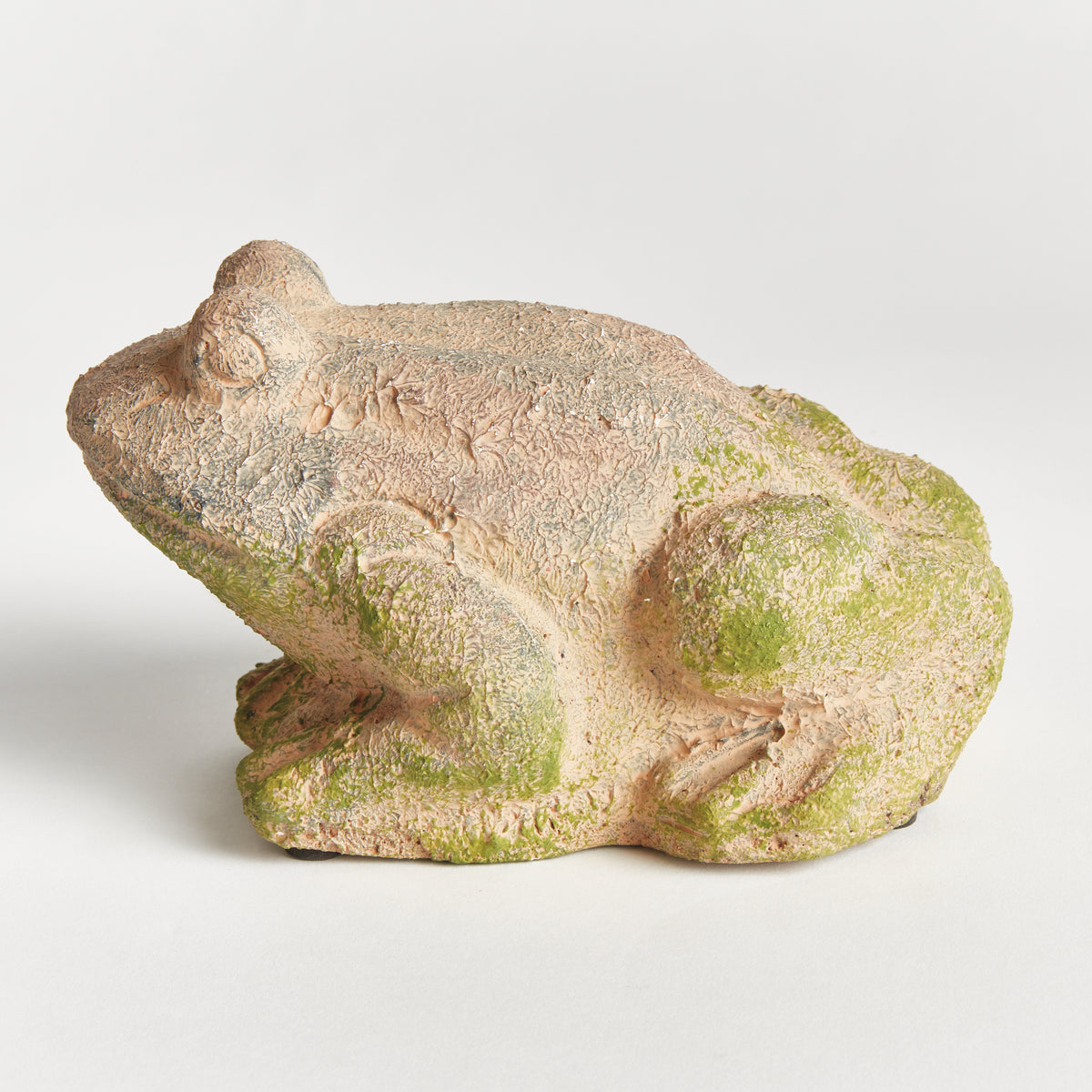 Weathered Garden Frog
