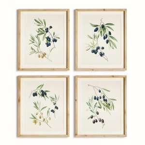 Olive Stems Study, Set of 4