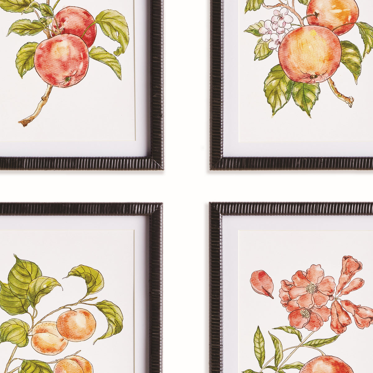Autumnal Fruit Prints, Set of 4