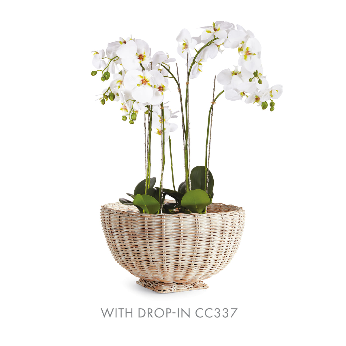 White orchids in a wicker basket on a white background