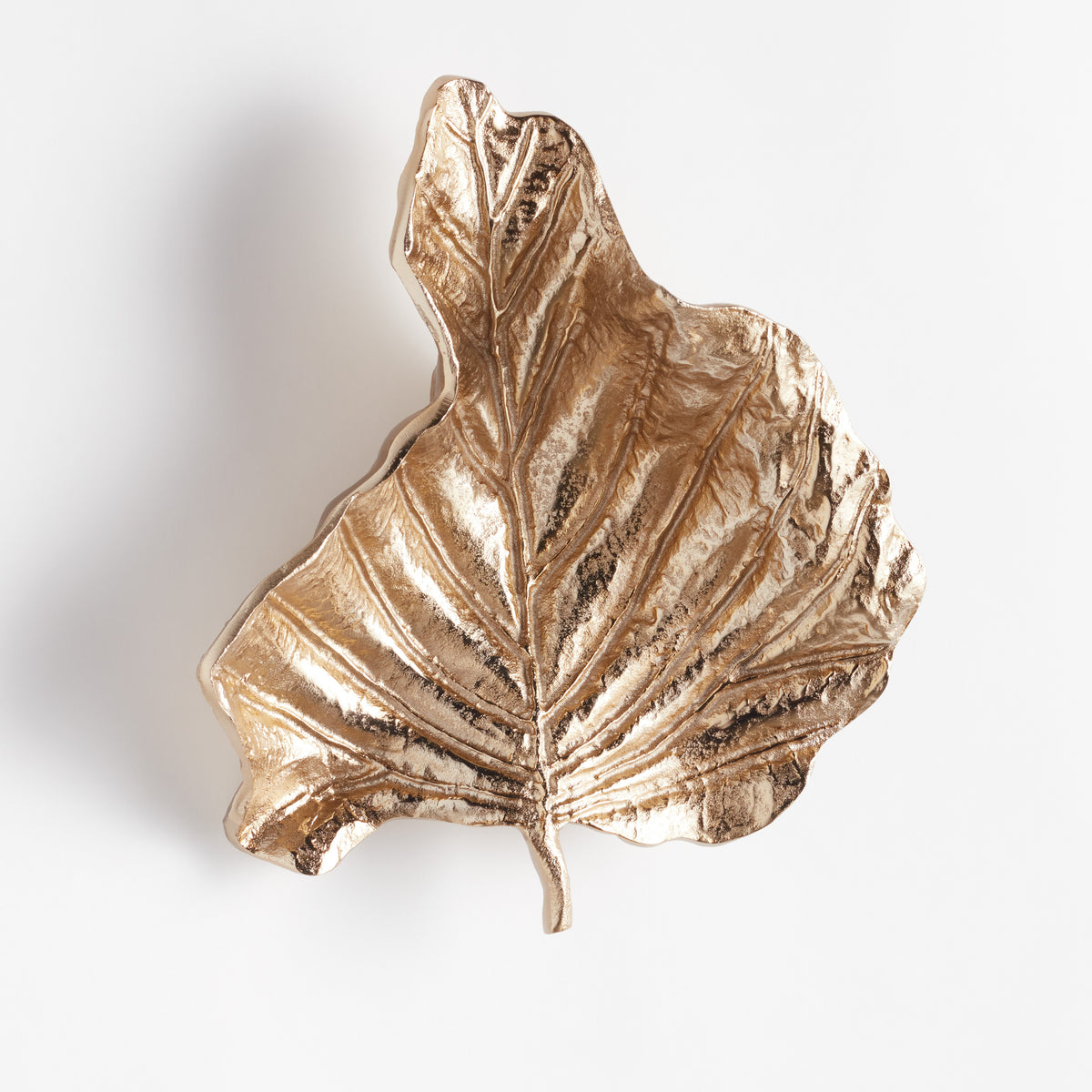 Colocasia Wall Art Small