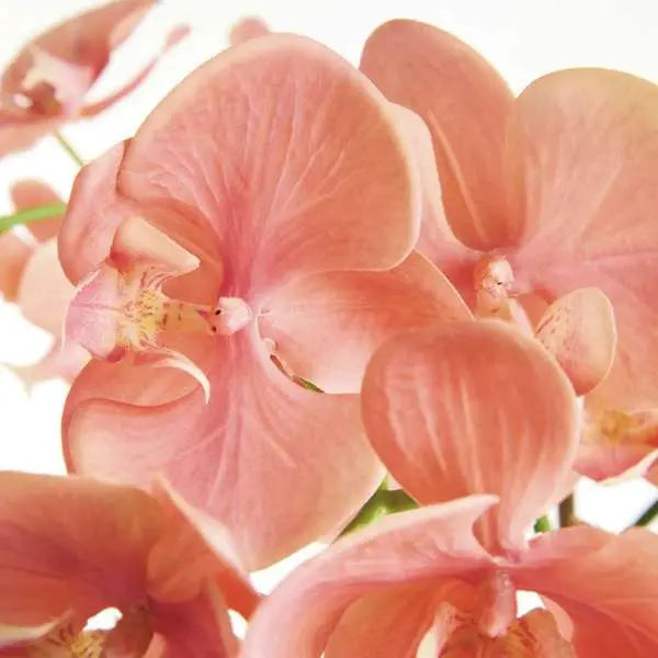 Pink Faux Phalaenopsis Orchid Drop In Arrangement