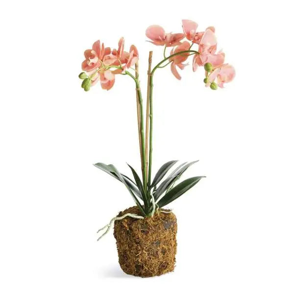 Pink Faux Phalaenopsis Orchid Drop In Arrangement