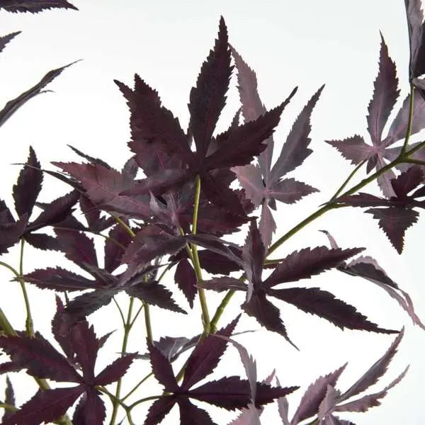 Faux Maple Leaf Branches 41" ST/2 - Green, Yellow or Purple | Realistic Faux Maple Leaf Branches