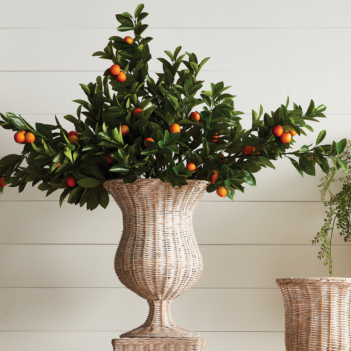 Faux Orange Branches 43", Set of 2