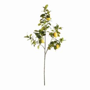 Faux Lemon Branches 43", Set of 2