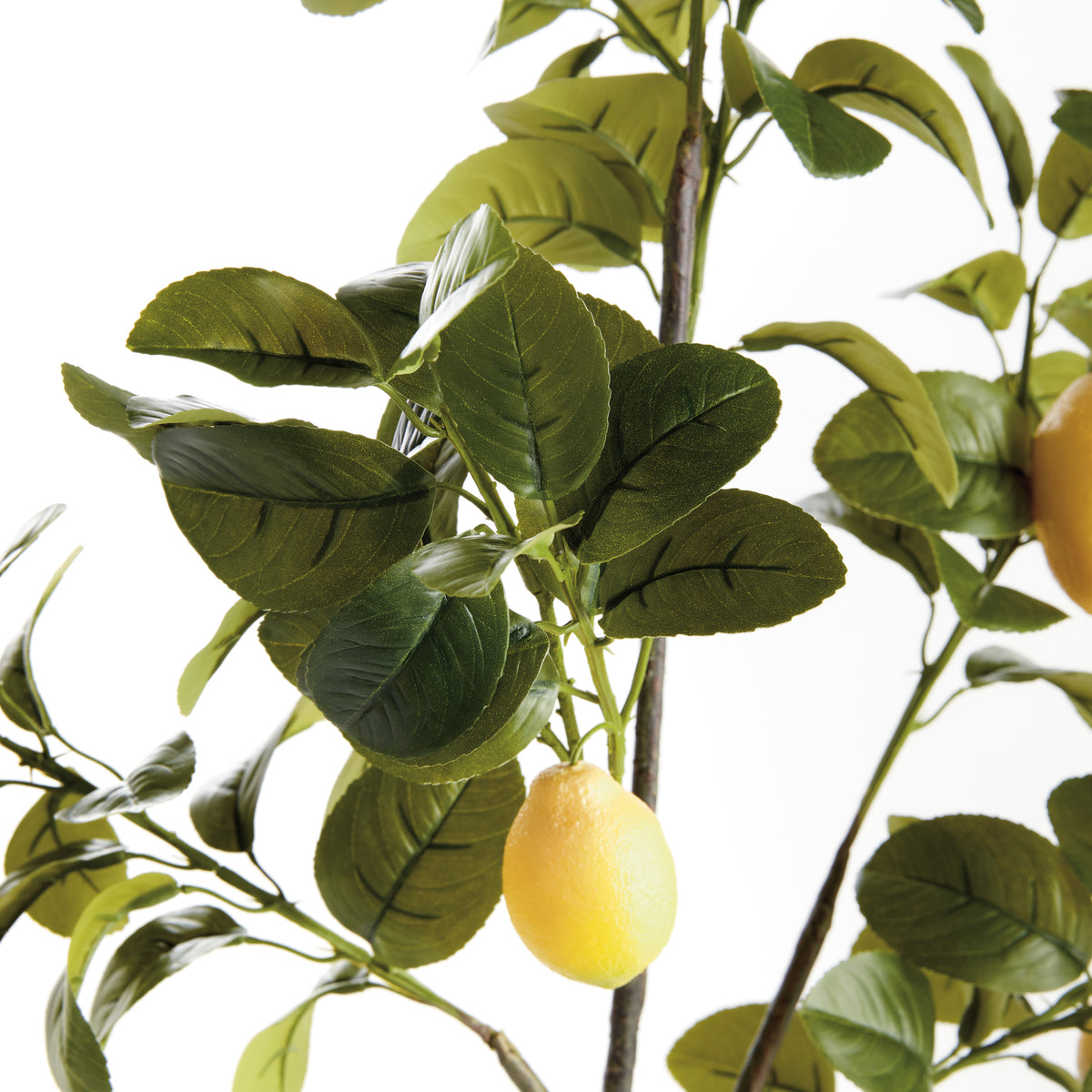 Faux Lemon Branches 43", Set of 2