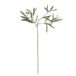Olive Stems 30", Set of 4