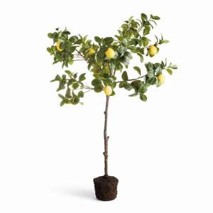 Faux Lemon Tree Drop-in 49"