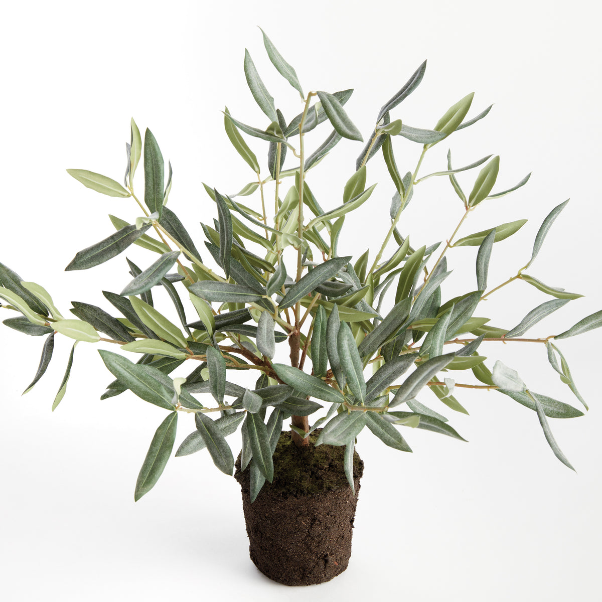 Olive Tree Drop-in 17.5"