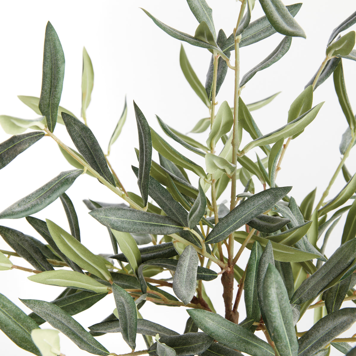 Olive Tree Drop-in 17.5"