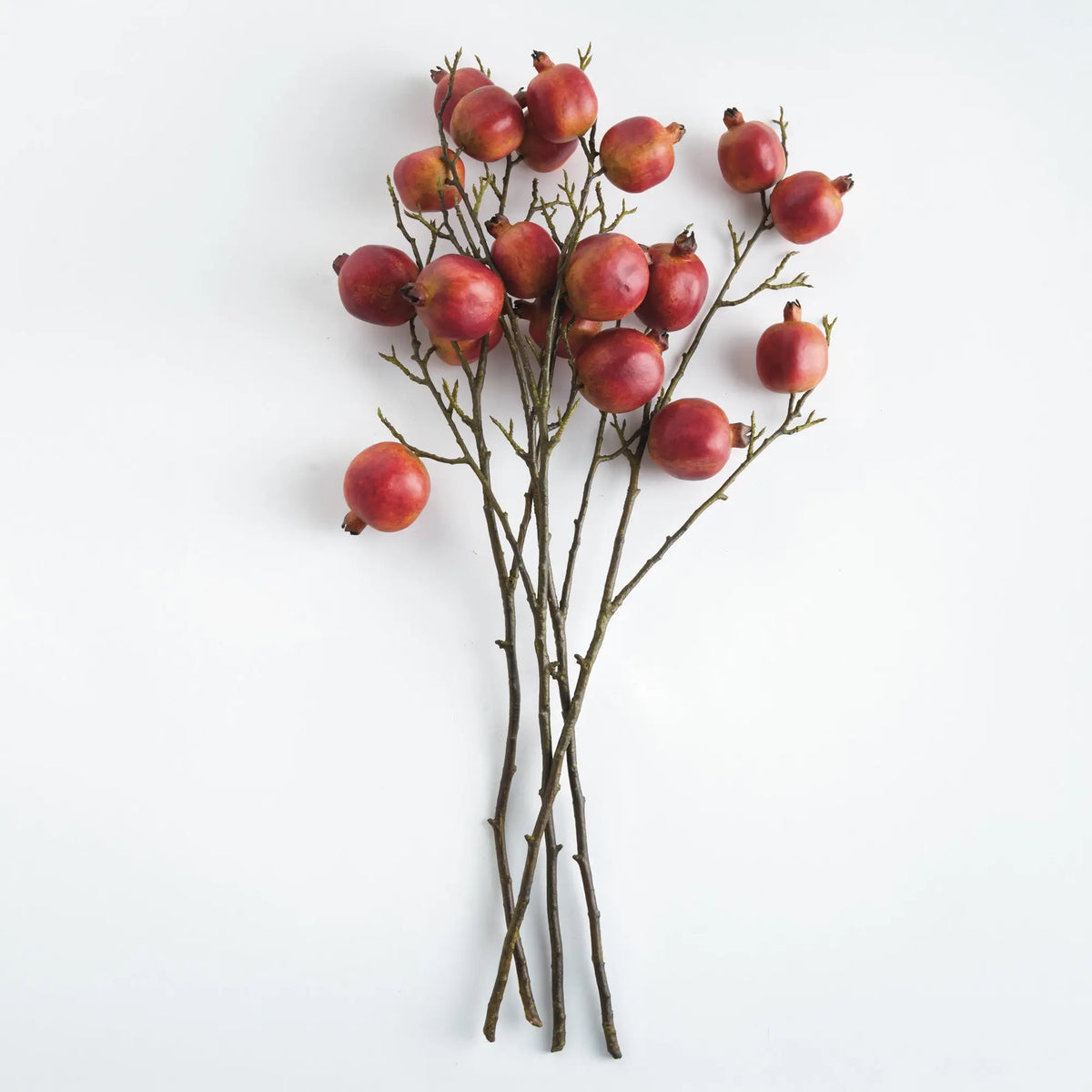 Pomegranate Branches 36" Set of 4