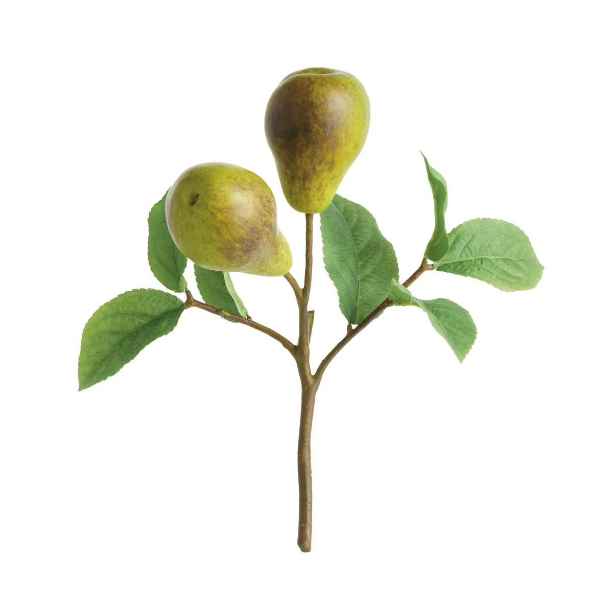 Pear Picks 9.5" Set of 4