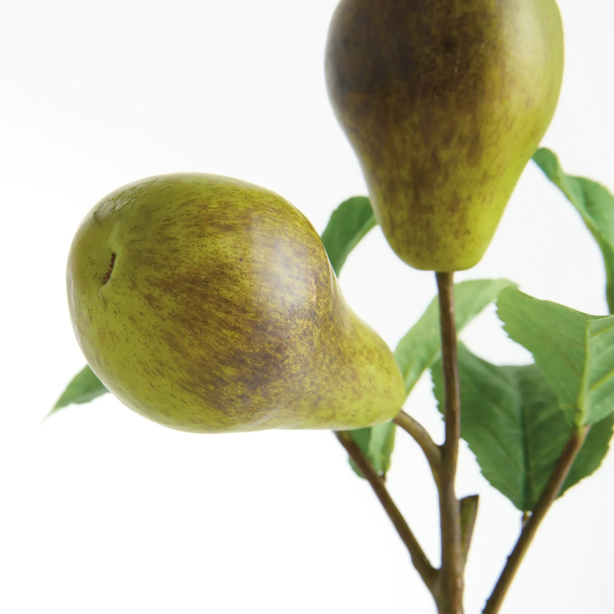 Pear Picks 9.5" Set of 4