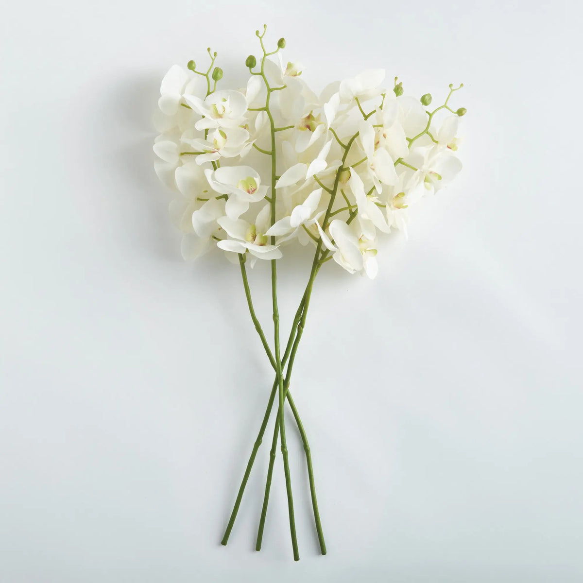 Phalaenopsis Orchid Stems 28" Set of 4 – White