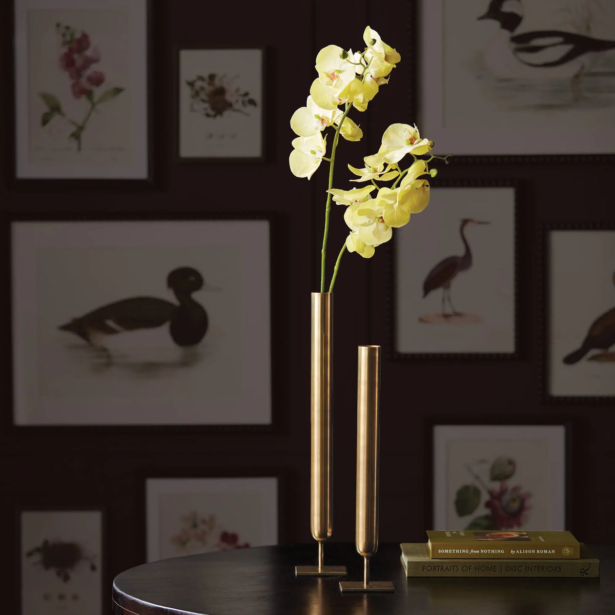 Phalaenopsis Orchid Stems 28" Set of 4 – Yellow