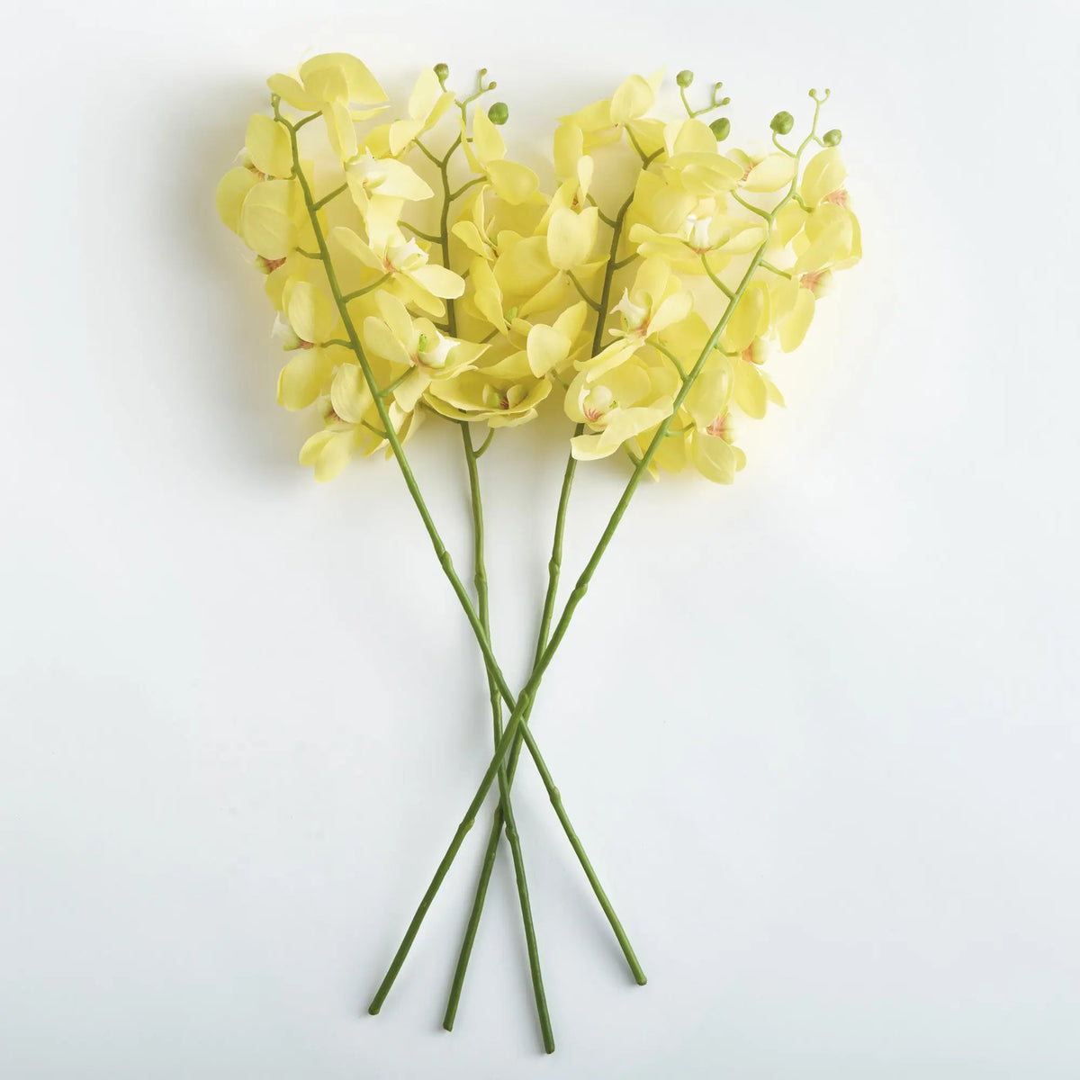 Phalaenopsis Orchid Stems 28" Set of 4 – Yellow