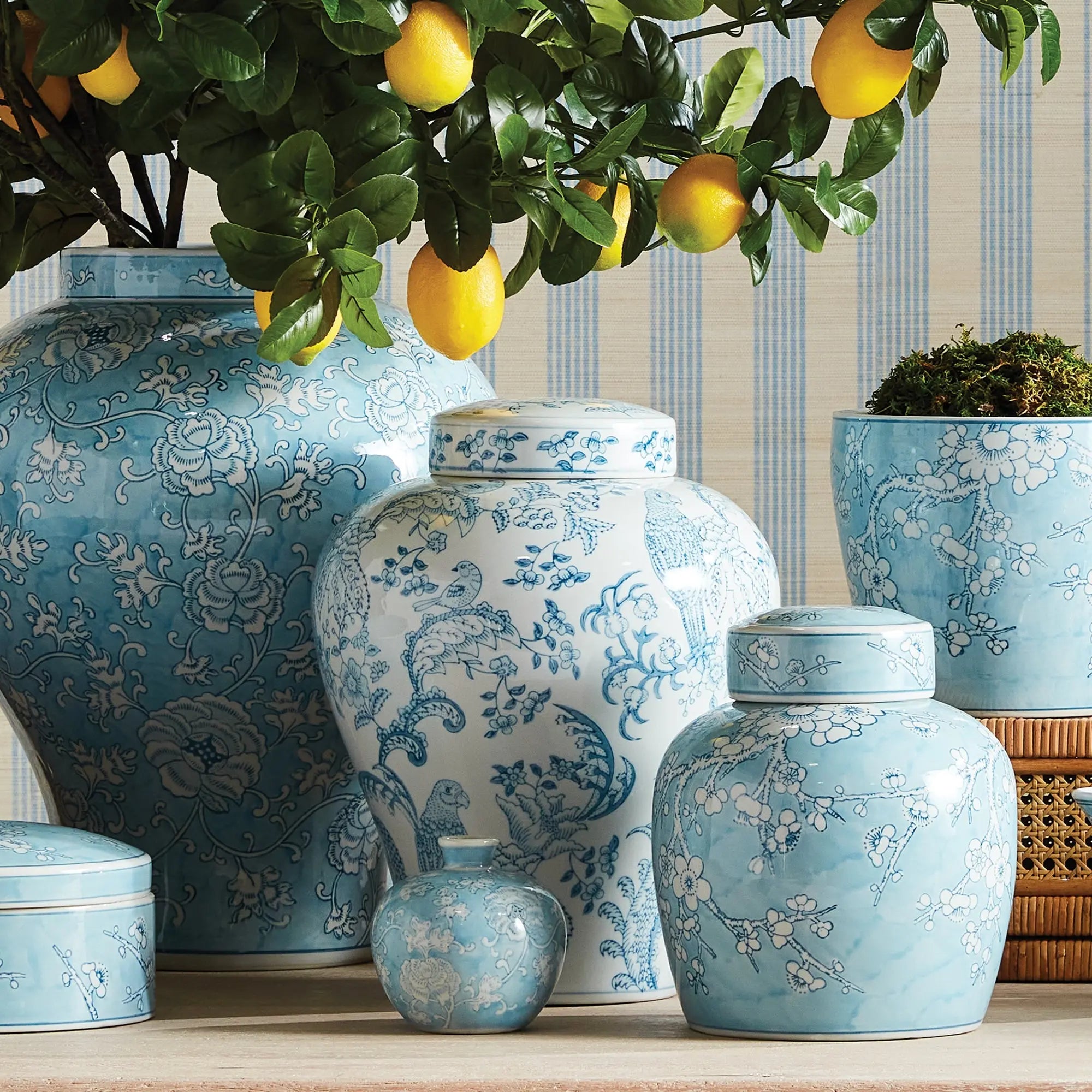 Monarch Parrot Ginger Jar - Light Blue & White Hand-Painted Porcelain - Villa Decor & Design
