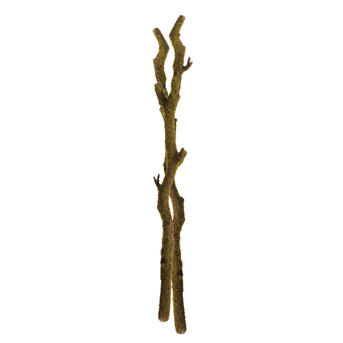 Moss Branches 24", Set of 2