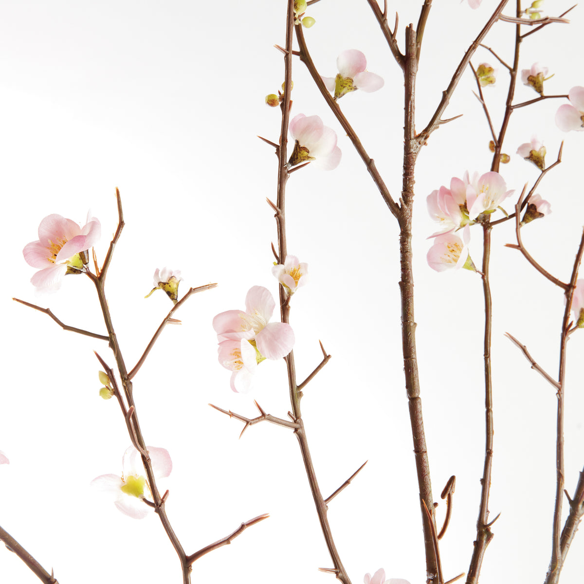 Pink Quince Blossom Branches 54", Set of 2