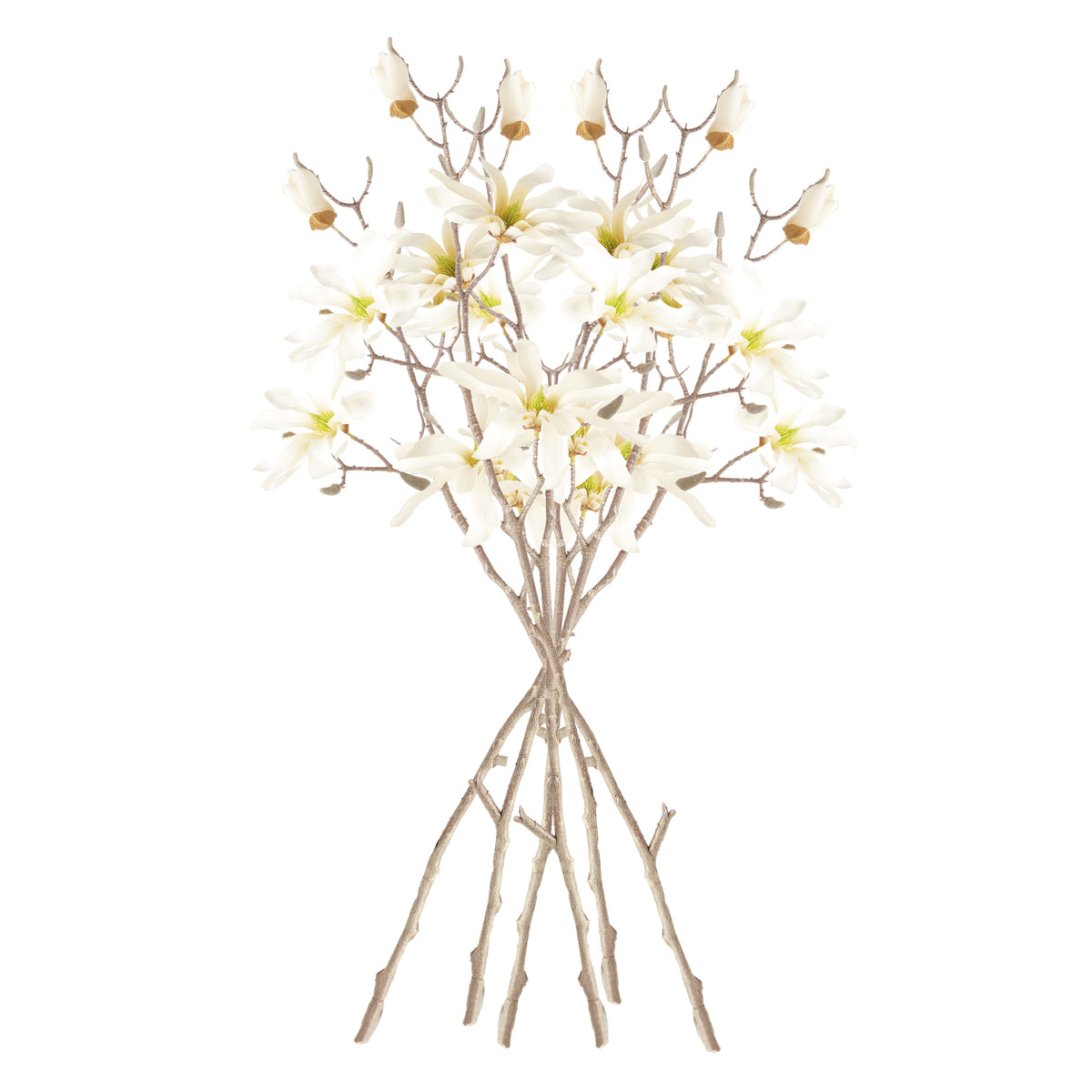 Star Magnolia Branches 32", Set of 6