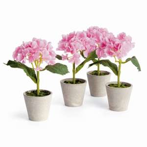 Mini Hydrangea Potted 8", Set of 4 in Pink