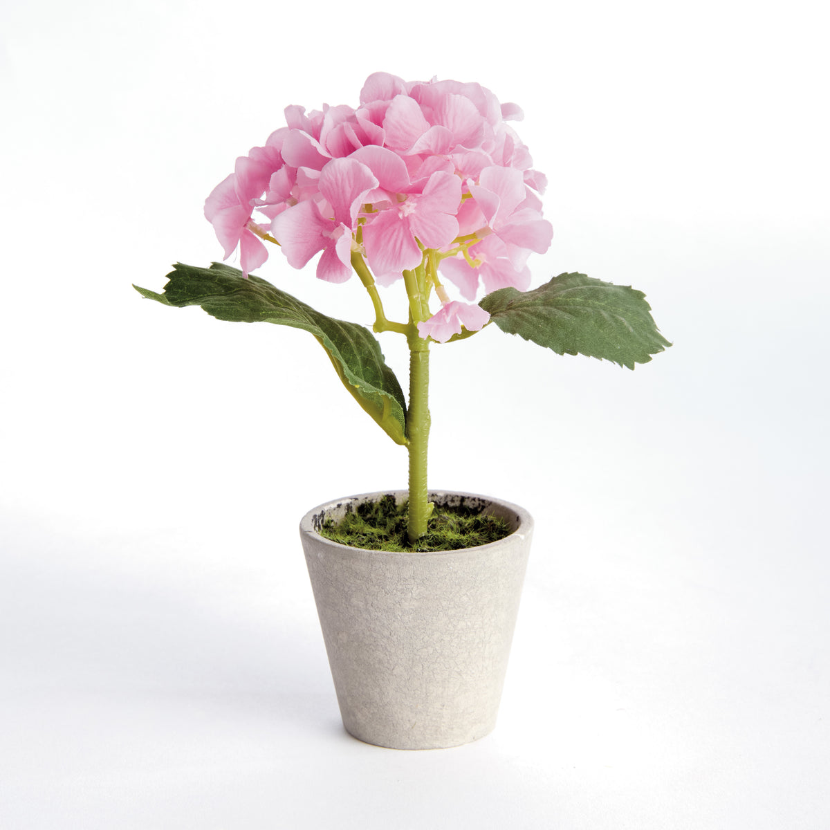 Mini Hydrangea Potted 8", Set of 4