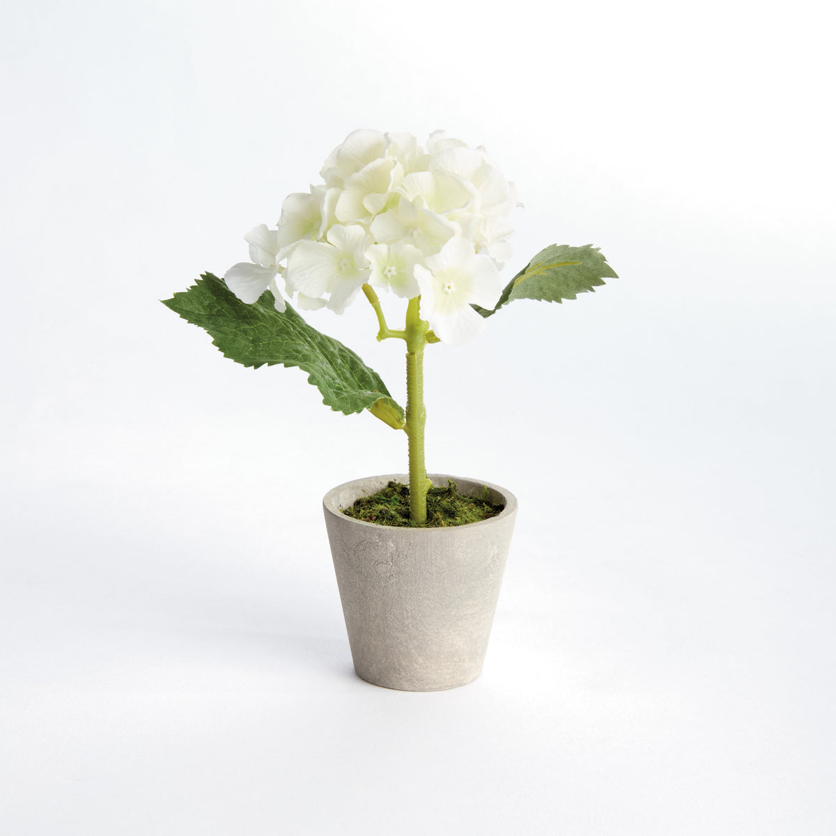 Mini Hydrangea Potted 8", Set of 4