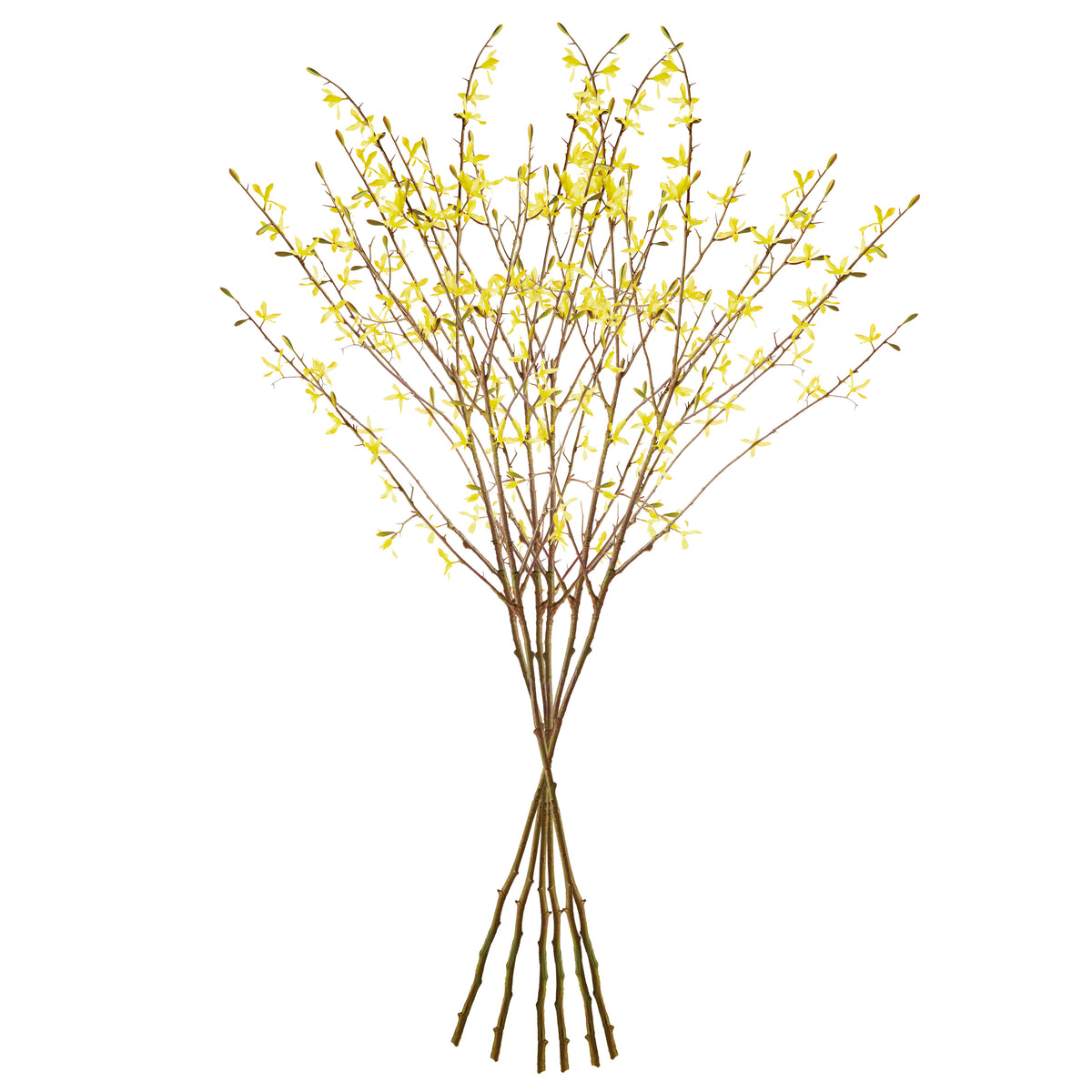 Forsythia Stems 47", Set of 6