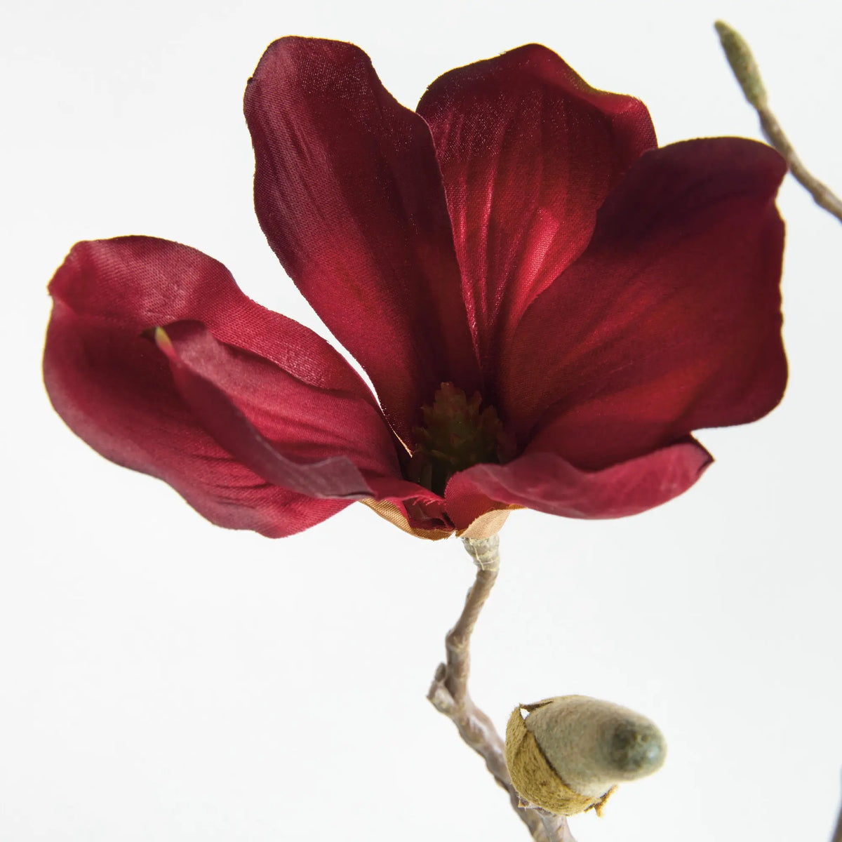 Magnolia Stems 27" Set of 4