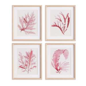 Watercolor Seaweed Prints, Set of 4