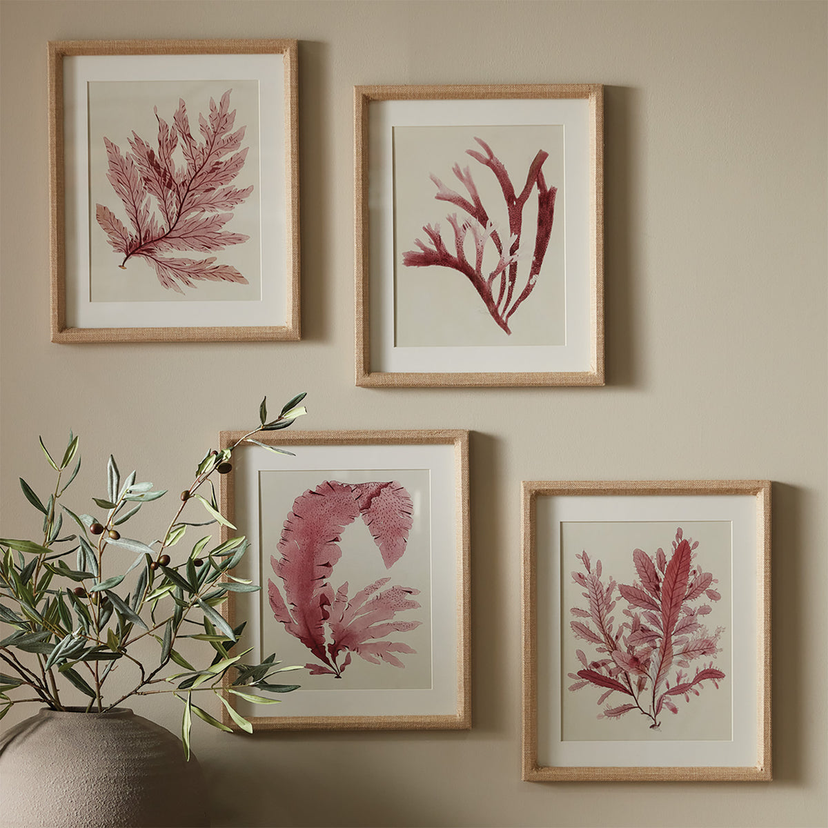 Watercolor Seaweed Prints, Set of 4