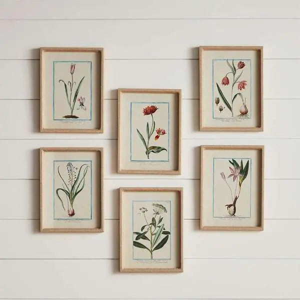 Dainty Flora & Fauna Study - Set of 9 Linen-Wrapped Botanical Prints - Villa Decor & Design