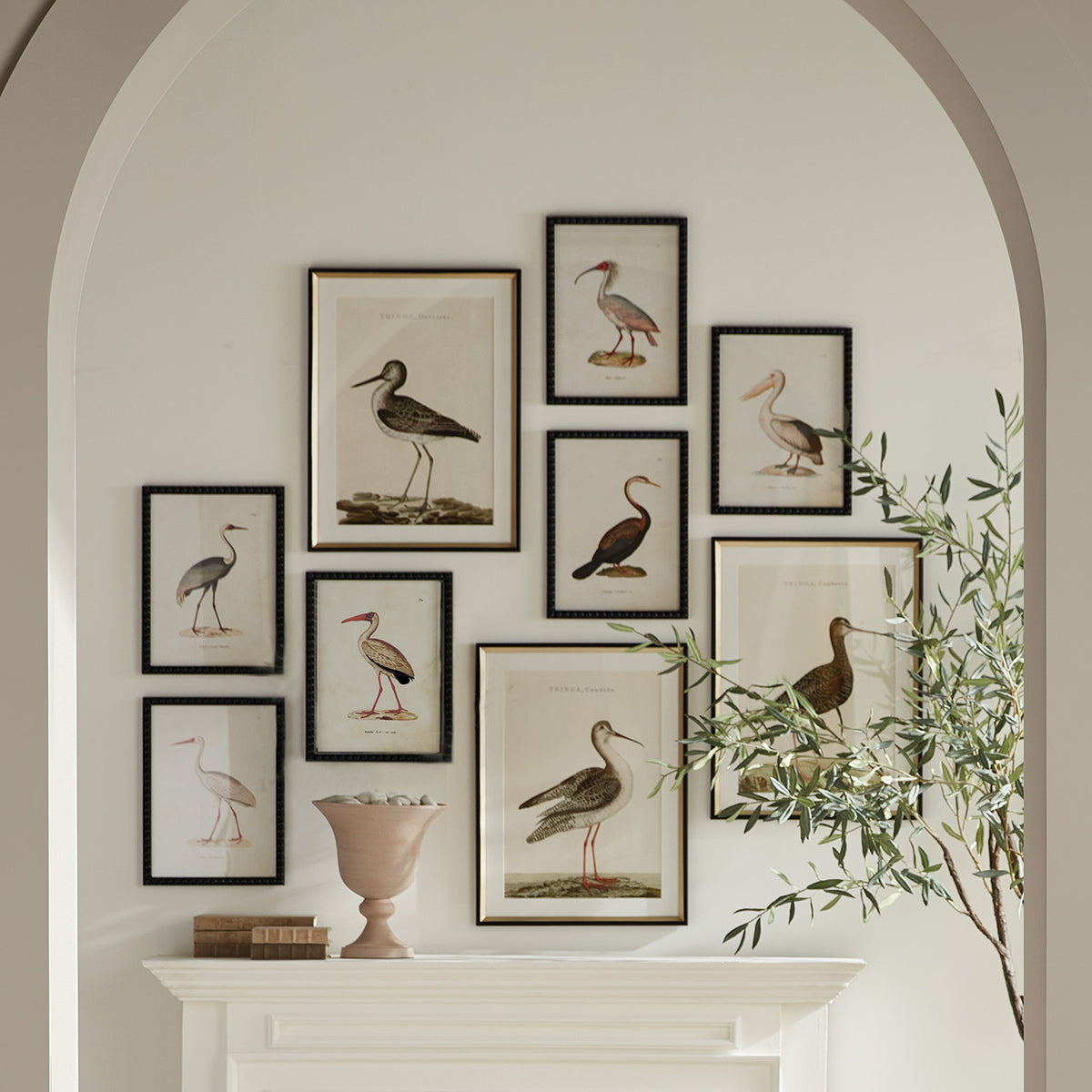 Aquatic Birds Study, Set of 9